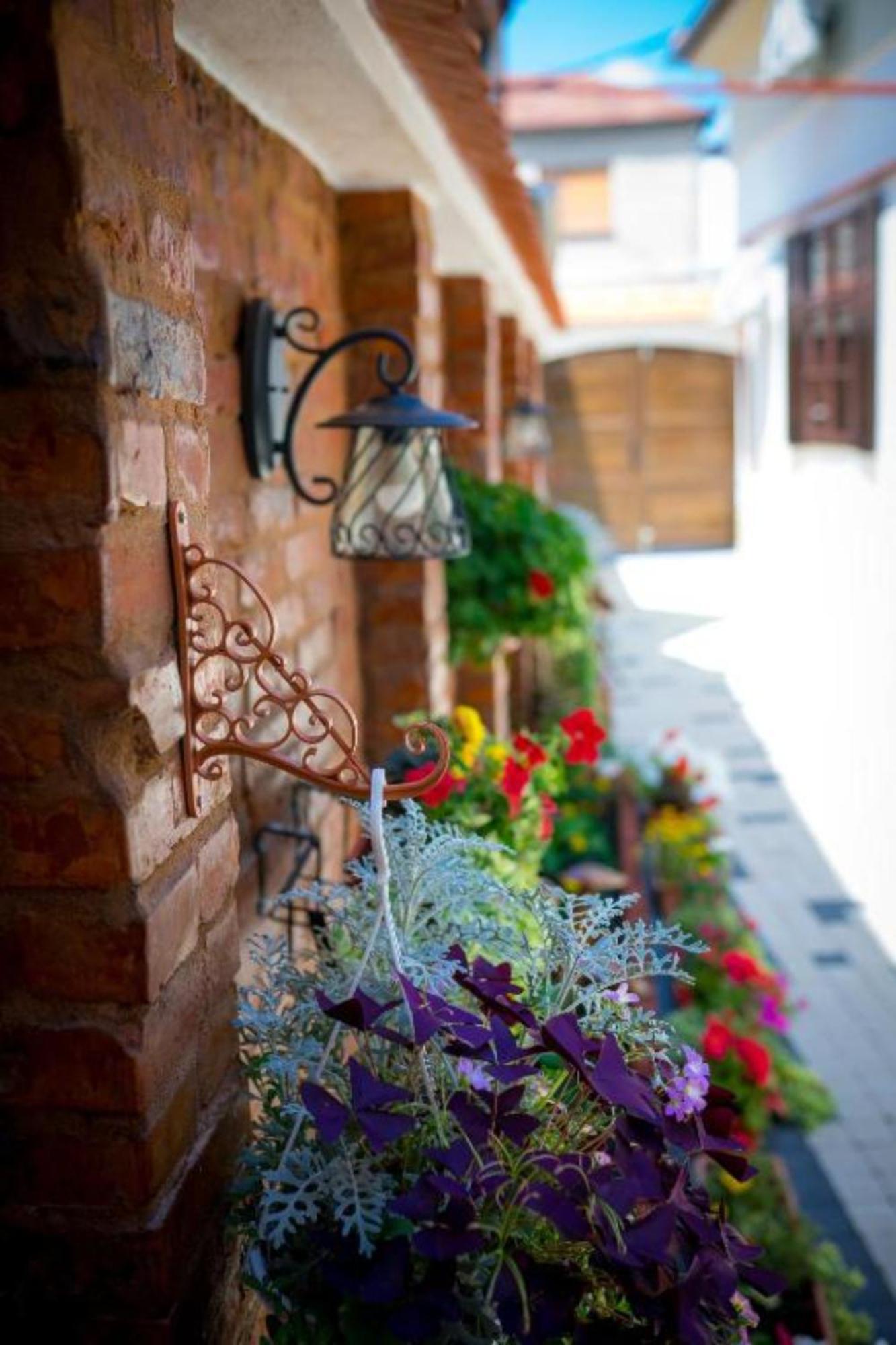 Cochet House Sibiu Aparthotel Εξωτερικό φωτογραφία